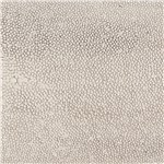 Shagreen Inlay